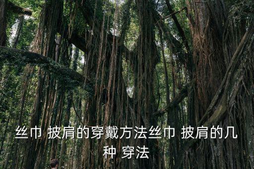 絲巾 披肩的穿戴方法絲巾 披肩的幾種 穿法