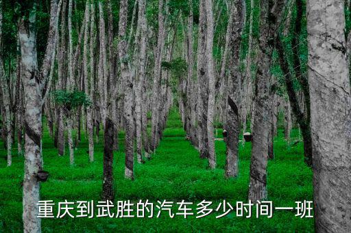 重慶市區(qū)到武勝縣過春節(jié)需要什么，重慶到武勝坐什么車能到