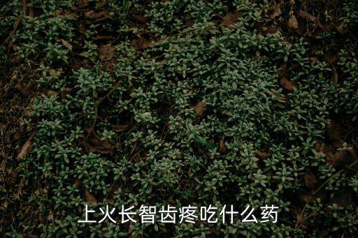 牙疼用什么藥,牙疼可吃布洛芬膠囊醋可放嘴里