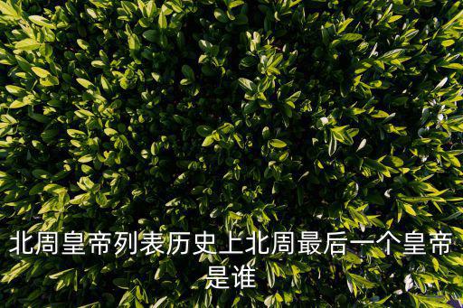 北周武帝,南北朝時期北周皇帝列表
