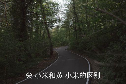 尖 小米和黃 小米的區別