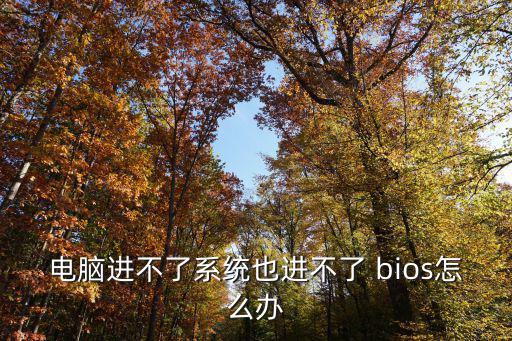 進不了bios,電腦進不去bios怎么辦?