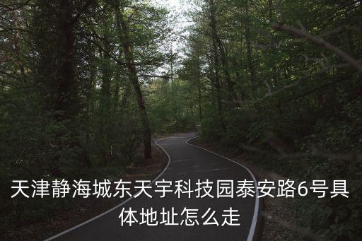 天津靜海城東天宇科技園泰安路6號具體地址怎么走