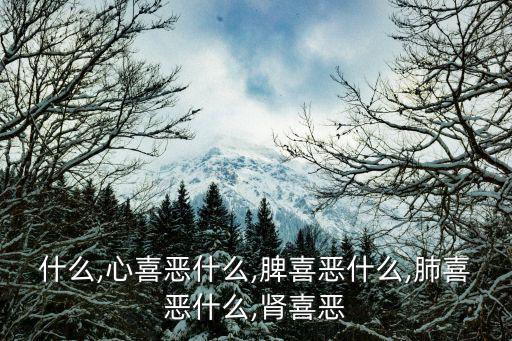 什么,心喜惡什么,脾喜惡什么,肺喜惡什么,腎喜惡