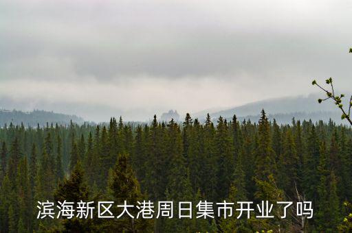 濱海新區(qū)大港周日集市開業(yè)了嗎