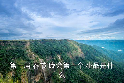 春節(jié)晚會小品,解鎖小品簡介