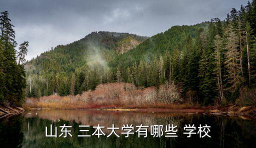 三本學(xué)校,山東三本科高校名氣不如上個有名技術(shù)培訓(xùn)學(xué)校
