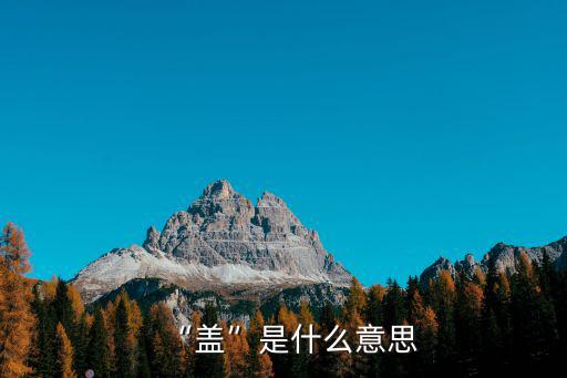 “蓋”是什么意思