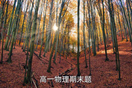 高一物理期末題