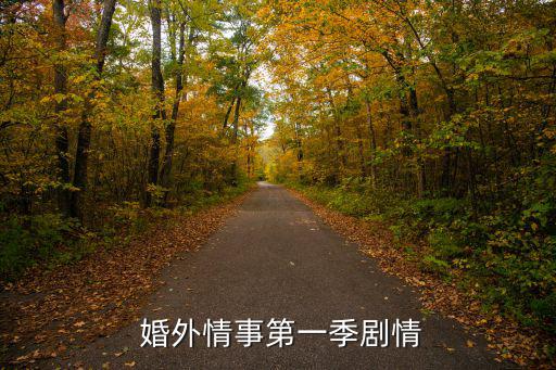  婚外情事第一季劇情