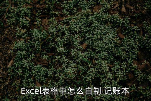 Excel表格中怎么自制 記賬本