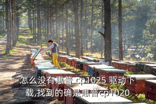 怎么沒有惠普 cp1025 驅動下載,找到的確是惠普cp1020