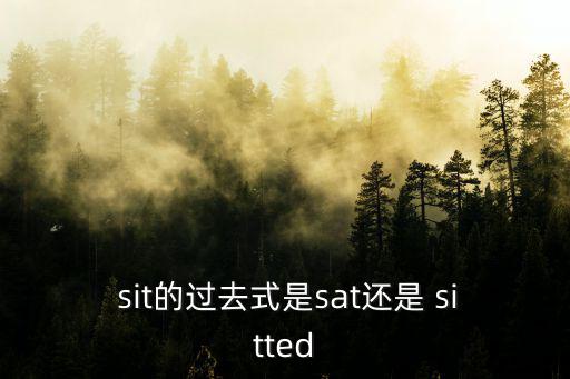  sit的過去式是sat還是 sitted