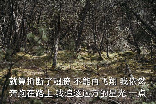 就算折斷了翅膀 不能再飛翔 我依然奔跑在路上 我追逐遠方的星光 一點