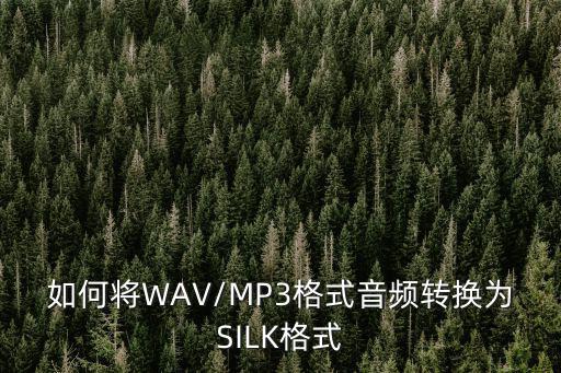 silk2mp3,怎么打不開?記錄儀教你如何找回文件