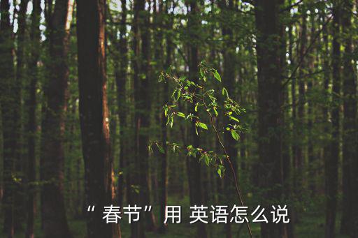 “ 春節”用 英語怎么說