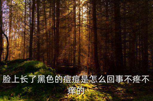 臉上長了黑色的痘痘是怎么回事不疼不癢的