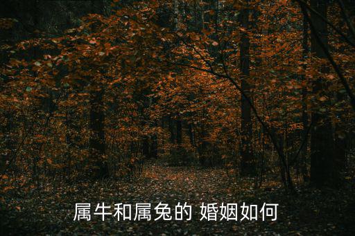 牛和兔相配婚姻如何,牛郎與母牛相遇相知相惜不要吵架