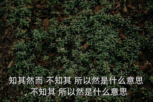 知其然而 不知其 所以然是什么意思, 不知其 所以然是什么意思
