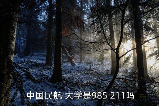 中國民航大學是211嗎,中國民航大學非985大學