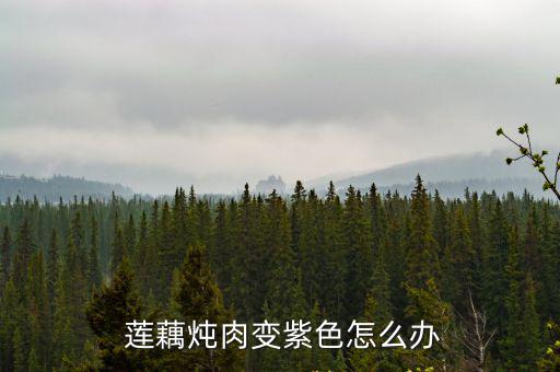  蓮藕燉肉變紫色怎么辦
