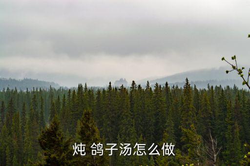 燉 鴿子湯怎么做