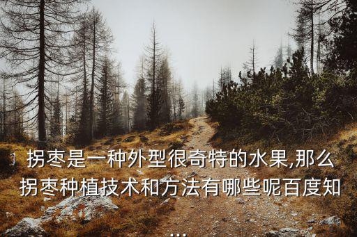拐棗,這些拐棗怎么存放?