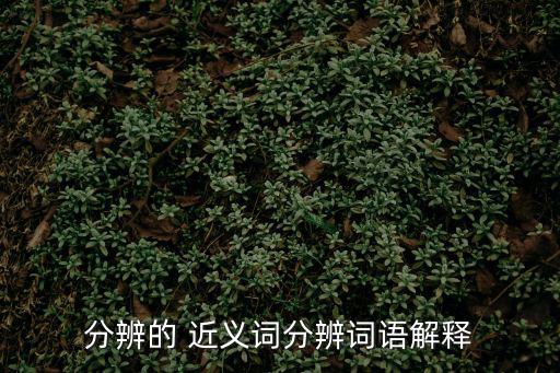 分辨的 近義詞分辨詞語(yǔ)解釋