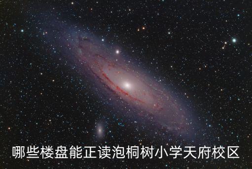 哪些樓盤(pán)能正讀泡桐樹(shù)小學(xué)天府校區(qū)