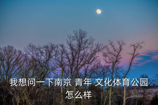 我想問一下南京 青年 文化體育公園怎么樣