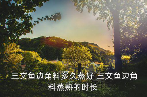  三文魚邊角料多久蒸好 三文魚邊角料蒸熟的時長