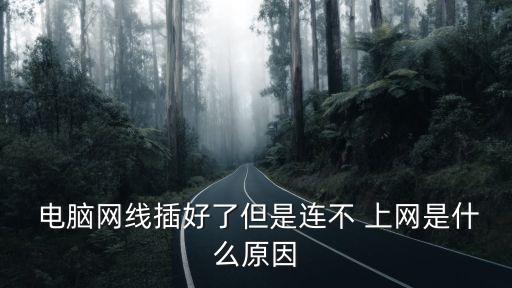 電腦插上網線連不上網,網絡連接不上網電腦怎么辦?