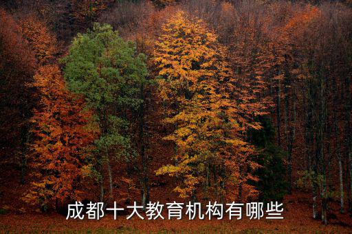 成都十大教育機構有哪些