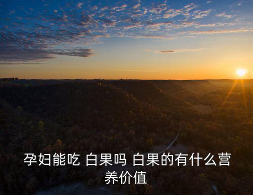  孕婦能吃 白果嗎 白果的有什么營(yíng)養(yǎng)價(jià)值