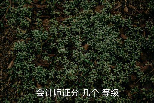  會計師證分 幾個 等級