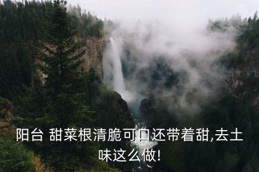 陽臺 甜菜根清脆可口還帶著甜,去土味這么做!