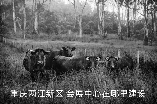 重慶兩江新區 會展中心在哪里建設