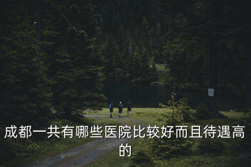成都市的綜合醫院，急成都武侯區成漢中路185號新街里第二街這里的成都市第一人民