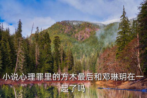 小說心理罪里的方木最后和鄧琳玥在一起了嗎