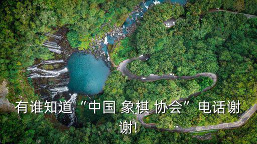 象棋協會,中國象棋協會郵寄地址:北京天壇東路80號