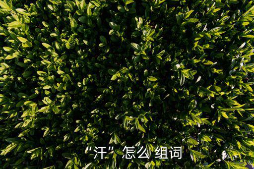 “汗”怎么 組詞