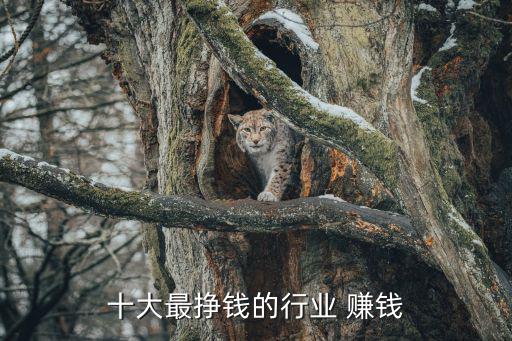 十大最掙錢的行業 賺錢