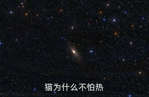 貓怕熱嗎，貓為什么不怕熱