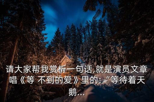 請大家幫我賞析一句話,就是演員文章唱《等 不到的愛》里的:“等待著天鵝...
