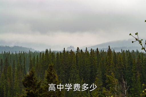 高中學費多少