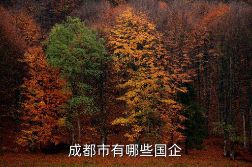 成都市有哪些國企