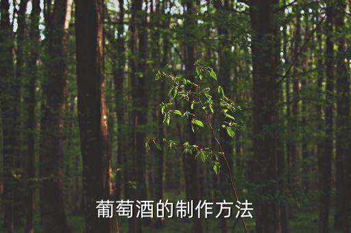 葡萄酒的制作方法