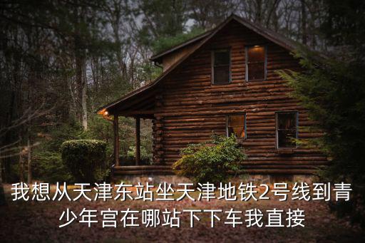 我想從天津東站坐天津地鐵2號(hào)線到青少年宮在哪站下下車我直接