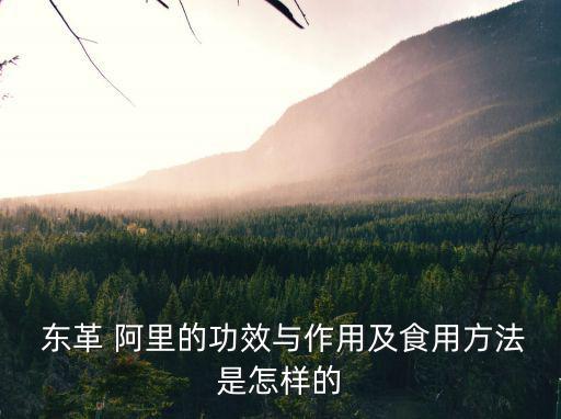  東革 阿里的功效與作用及食用方法是怎樣的