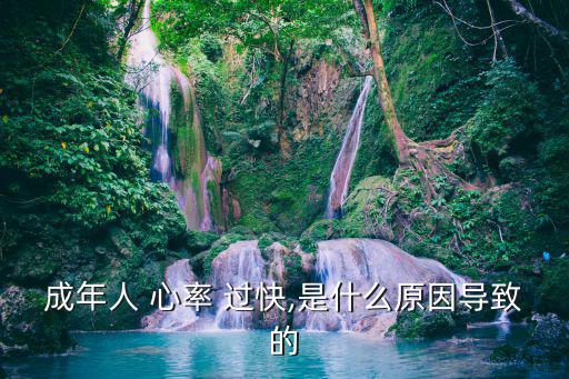 成年人 心率 過快,是什么原因導致的